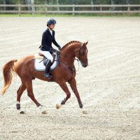 Product uitgelicht: TRM Muscle Up
