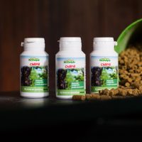 Gastblog VITALStyle: Minder stress dankzij een dopingvrije paddenstoel