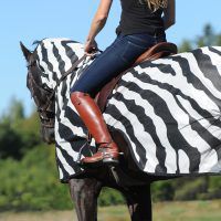 Het geheim achter de Zebra vliegendekens..