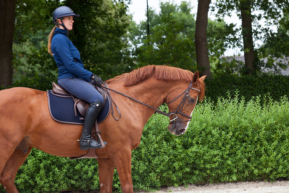 Gastblog VITALStyle: Versterk de spieren van je paard met een krachtige cocktail