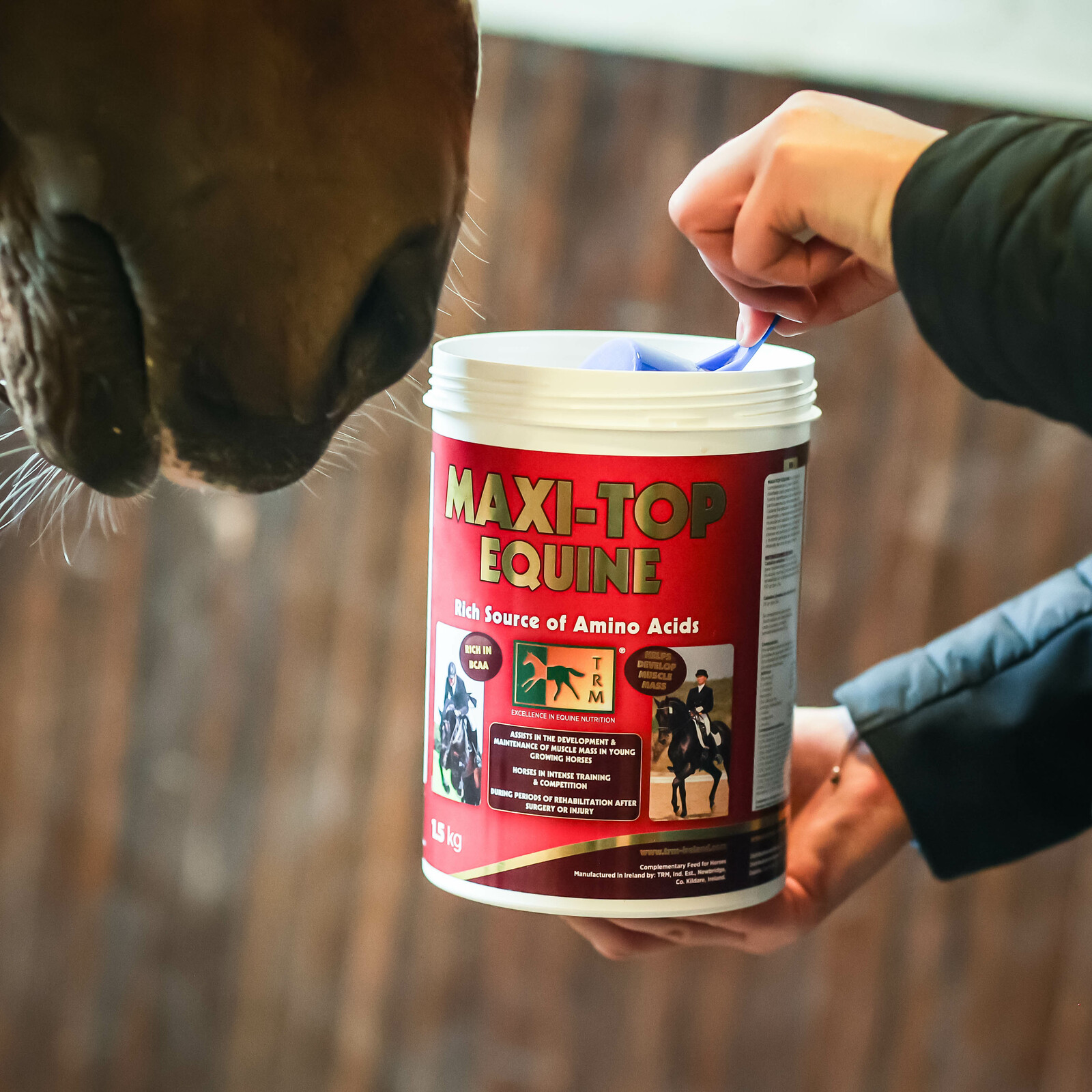 Maxi-Top Equine vs. Myoplast: was sind die Unterschiede? 