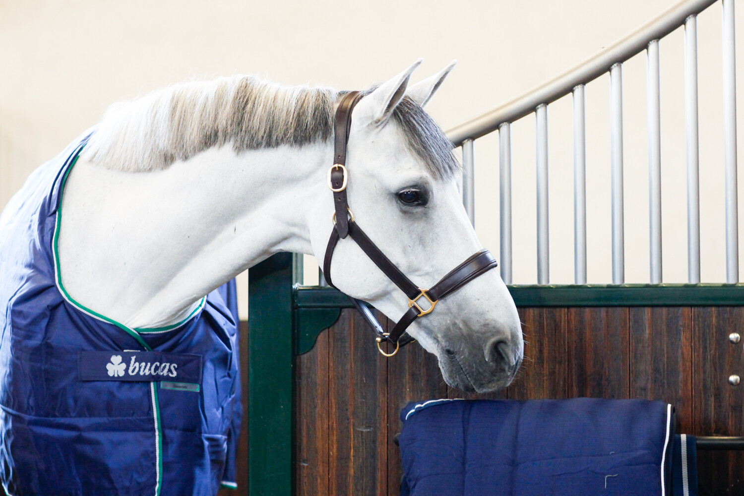 Bucas Smartex