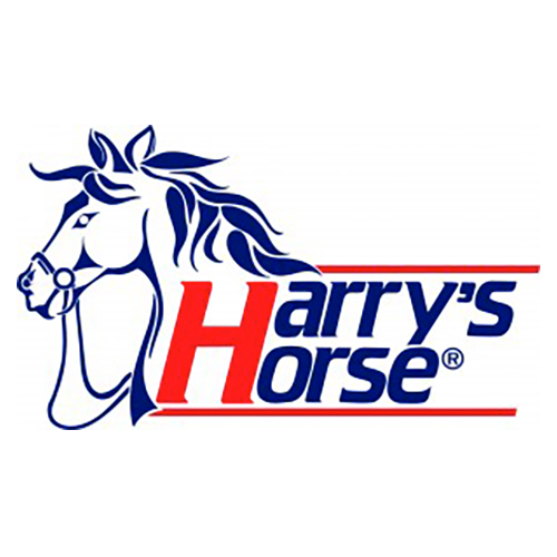 Harry's Horse