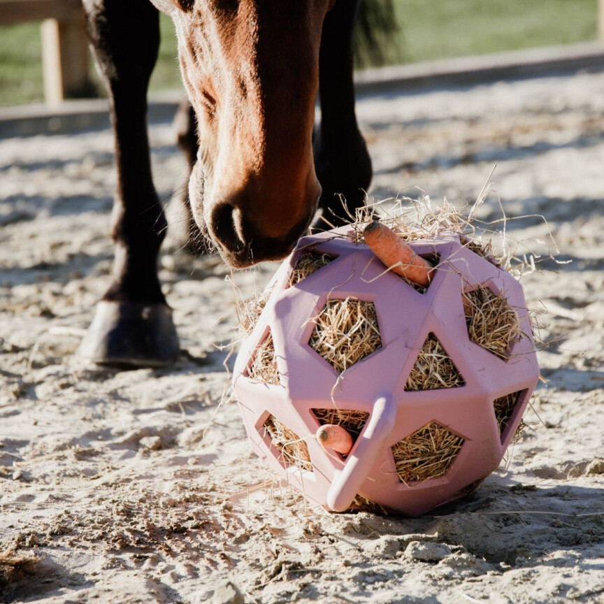 Kentucky Relax Horse Play & Hay Ball Rose Paddock