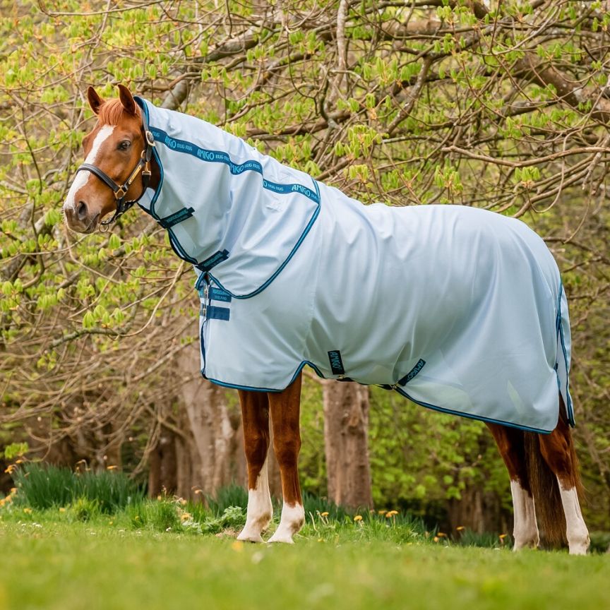 Amigo Bug Rug Full Neck Azure Blue