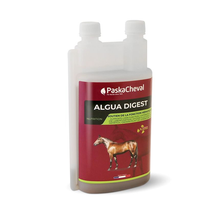 PaskaCheval Algua Digest