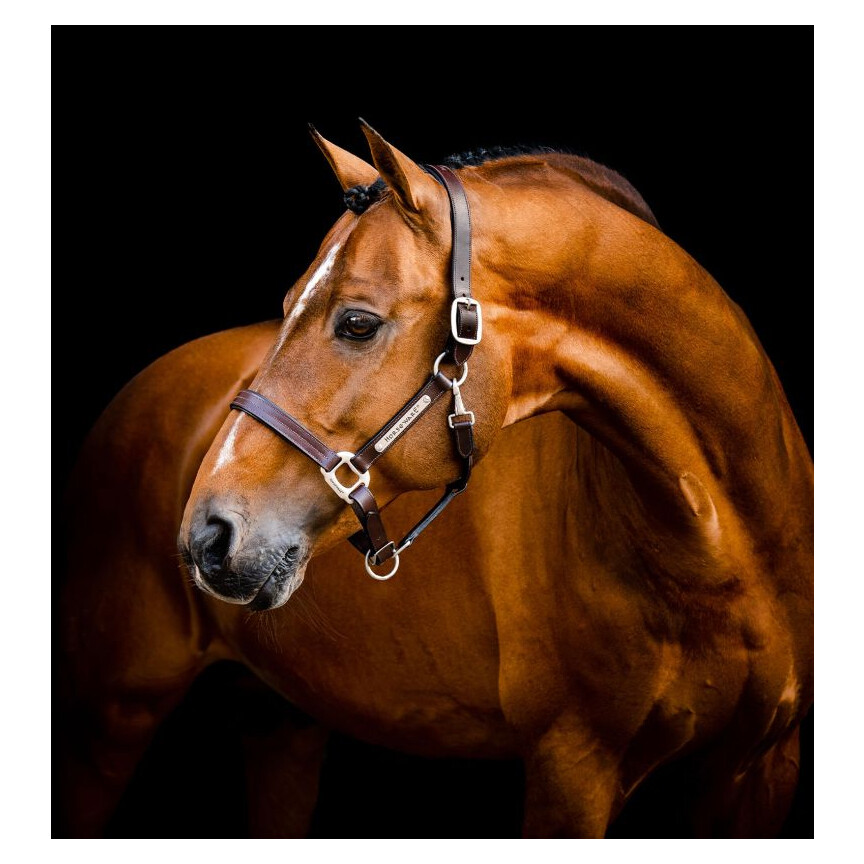 Horseware Signature Leather Headcollar Brown