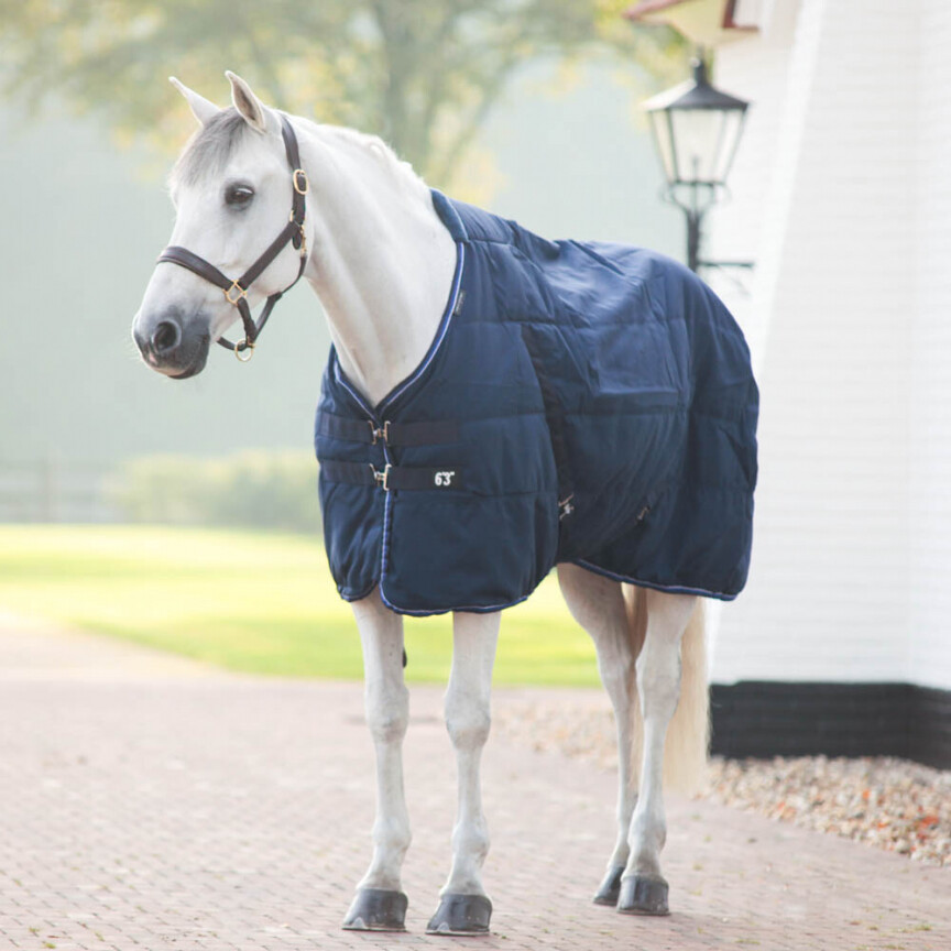 Equitheme stable rug