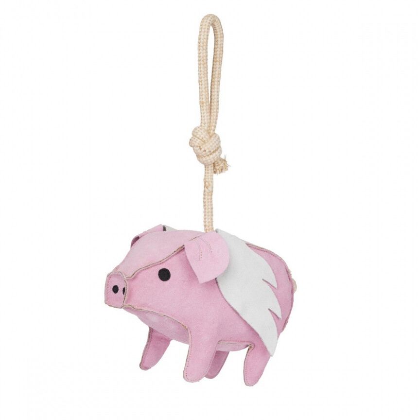 lemieux flying pig