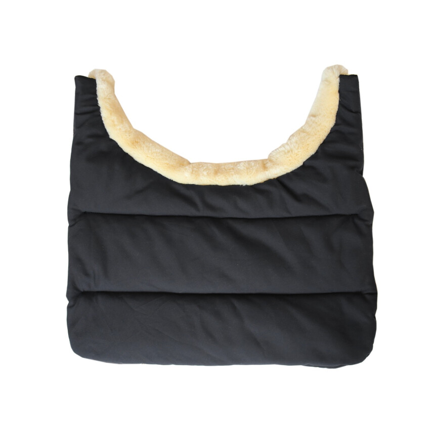 Kentucky Bib winter