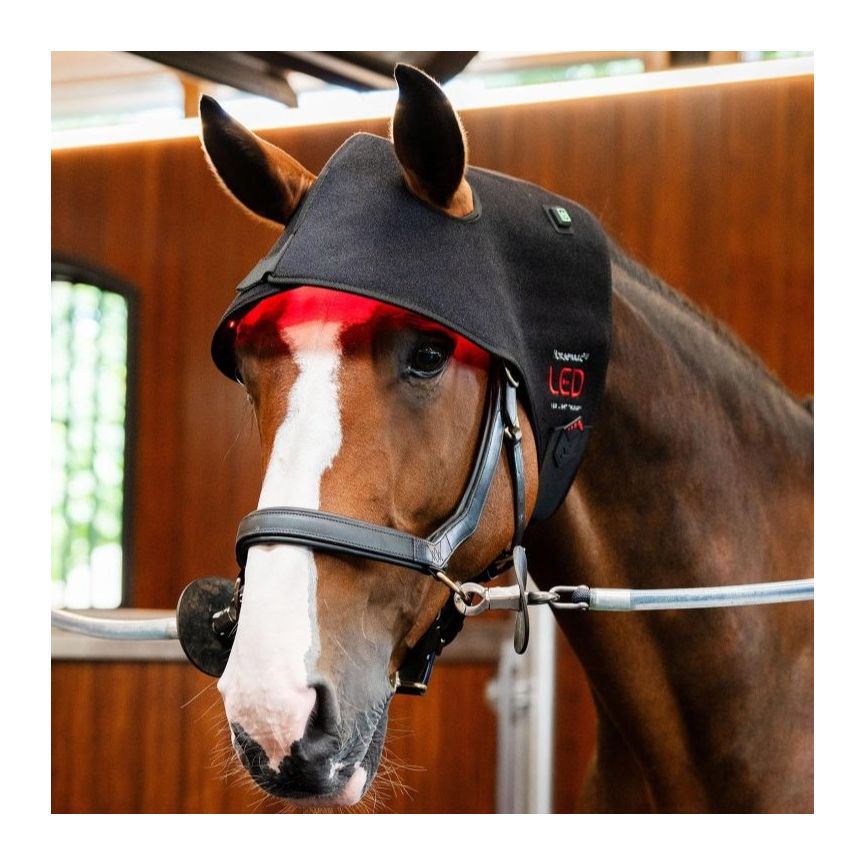 Horseware Therapy Cap LED Red Light