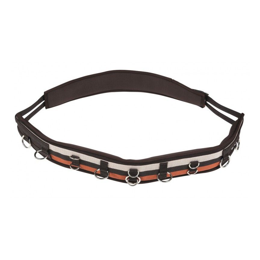 Norton Lunging Surcingle Brown