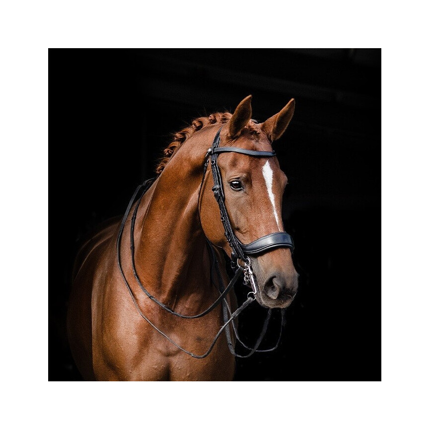 Presteq Stang & Trens Hoofdstel FayPerform