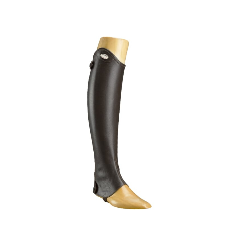Parlanti chaps bruin