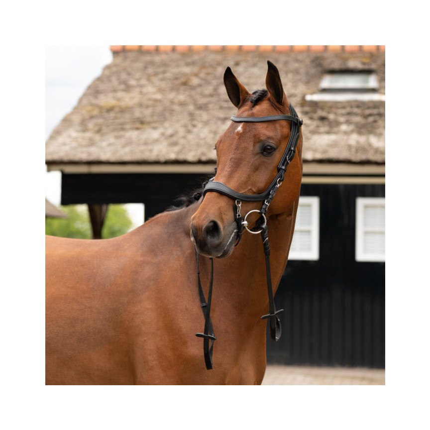 PresTeq Hoofdstel Faysport TESTER
