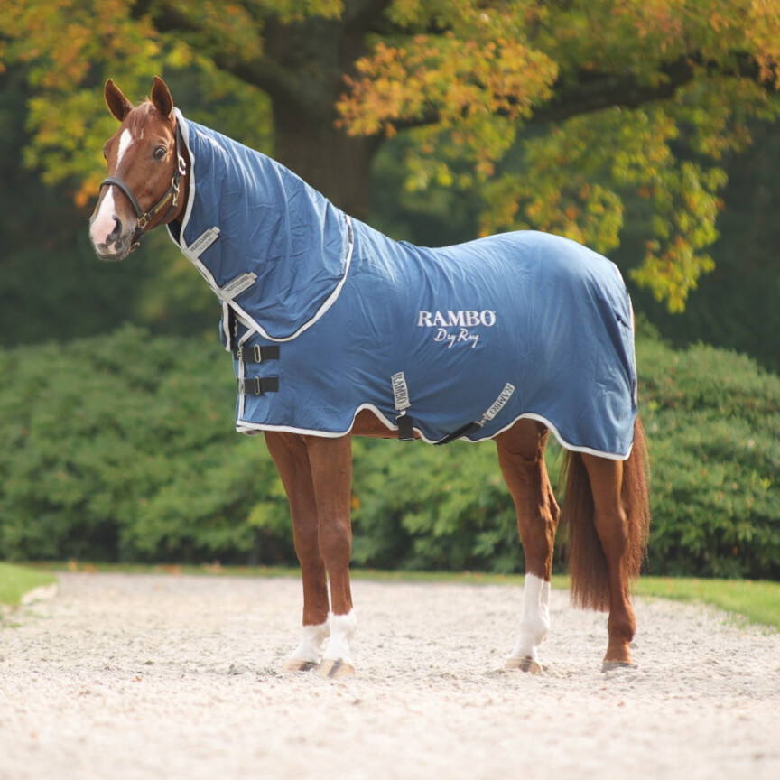 Rambo Dry Rug