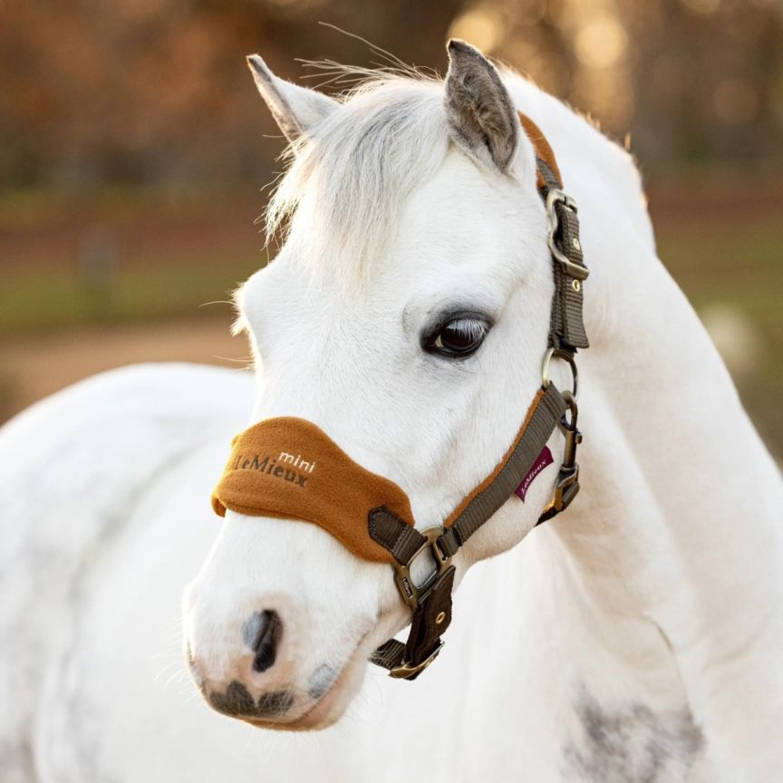 Lemieux Vogue Headcollar & leadrope Mini Alpine
