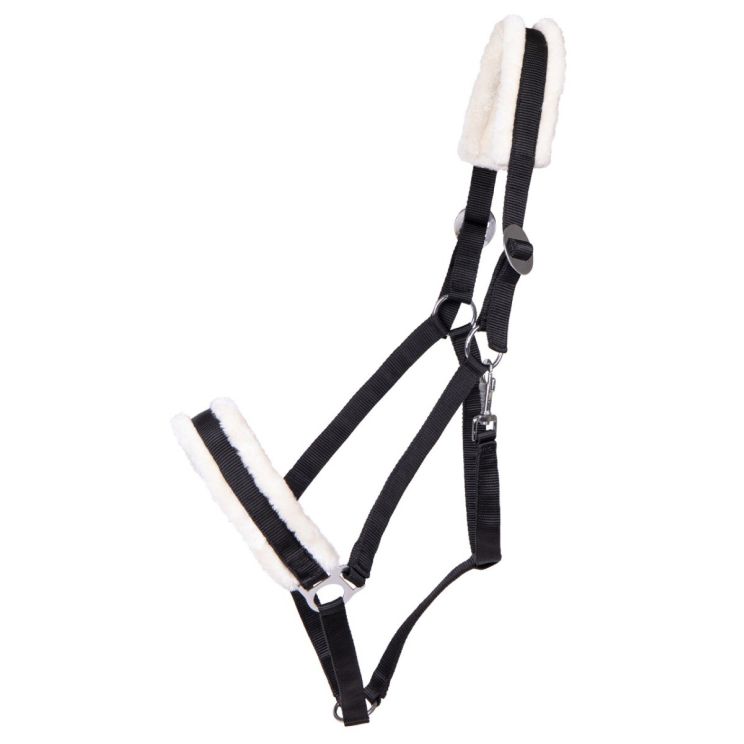 QHP Halster Cali trekpaard
