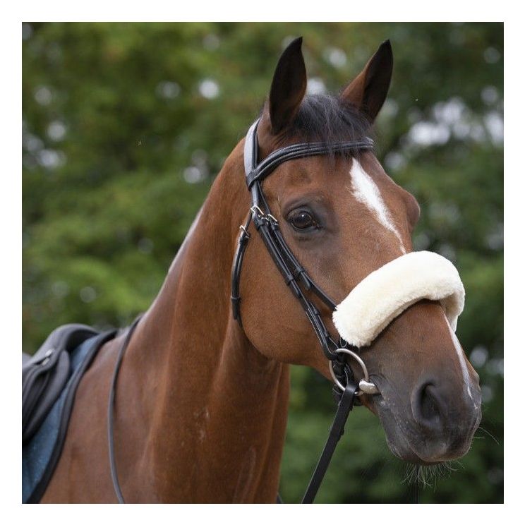 Equitheme Noseband Cover Teddy