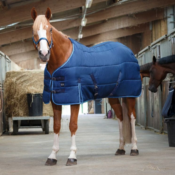 Riding World Stable Rug