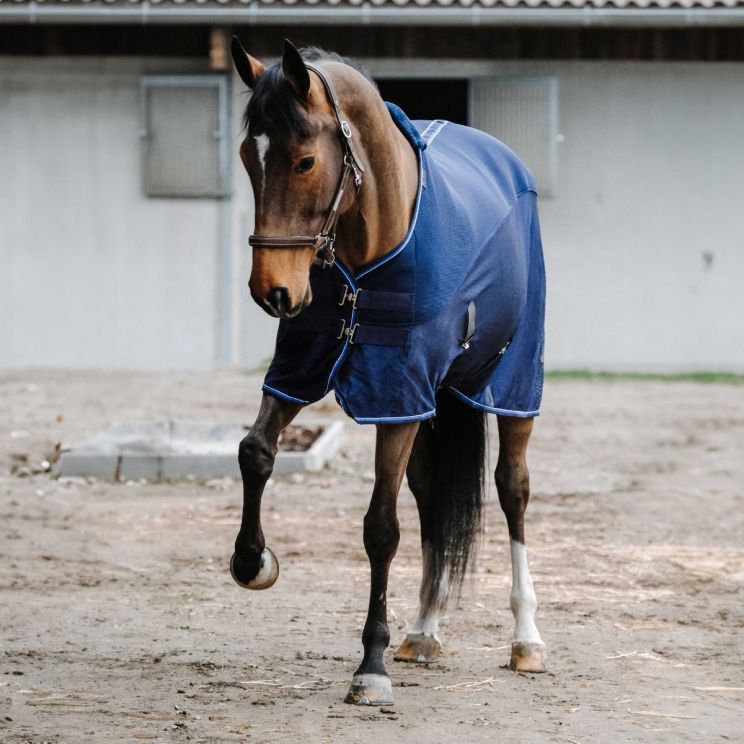 Equithème Mesh Sheet 3D