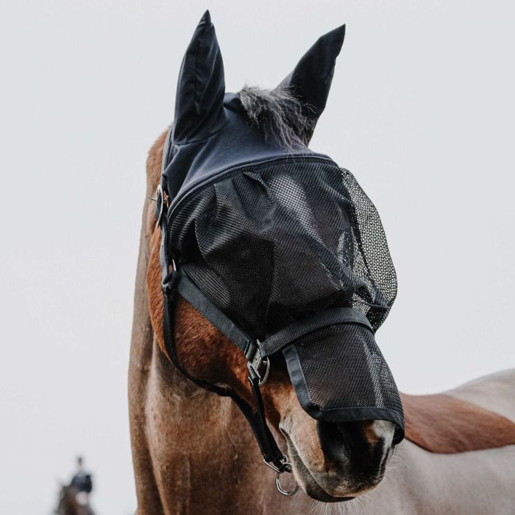 Equithème Halter + Mask