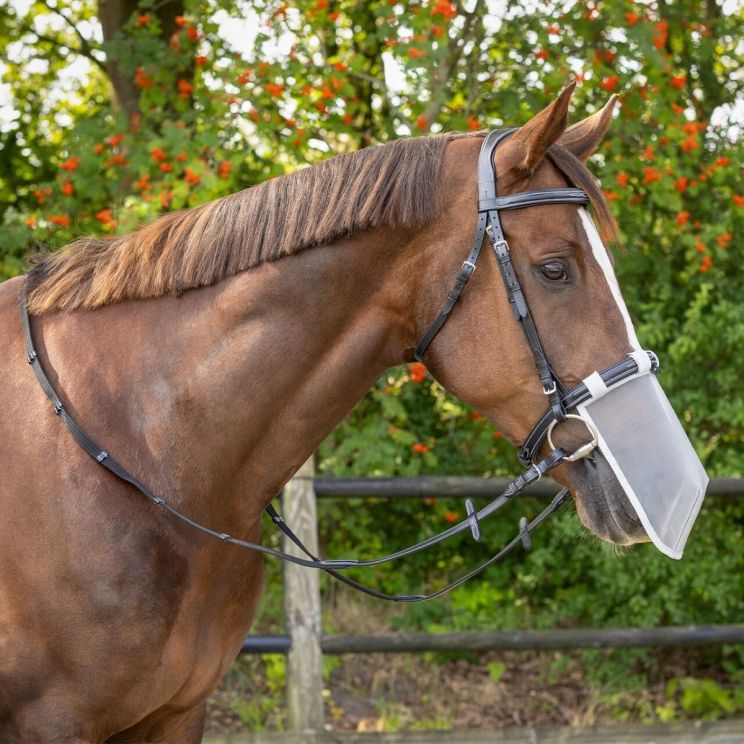 QHP UV Nose Protection Horse