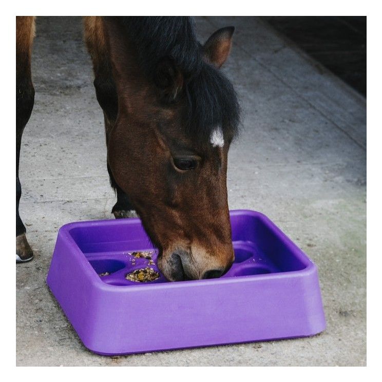 Hippotonic Feeder Guard-Dual Purple