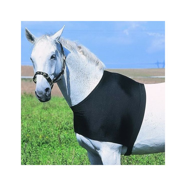 Ekkia Shoulder Guard Black