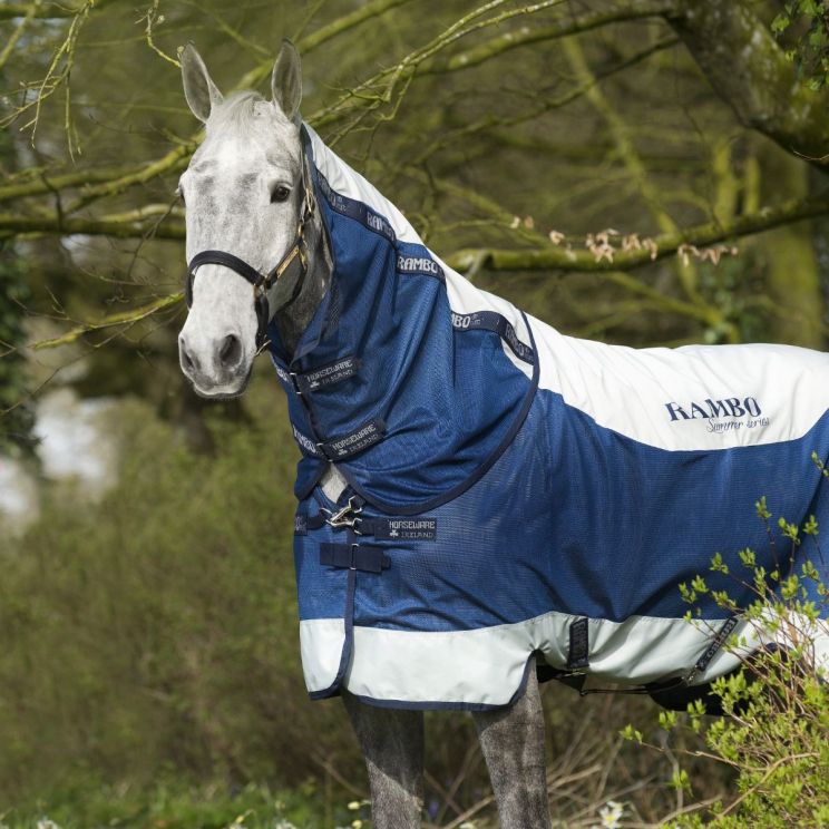 Rambo Summer Series Turnout