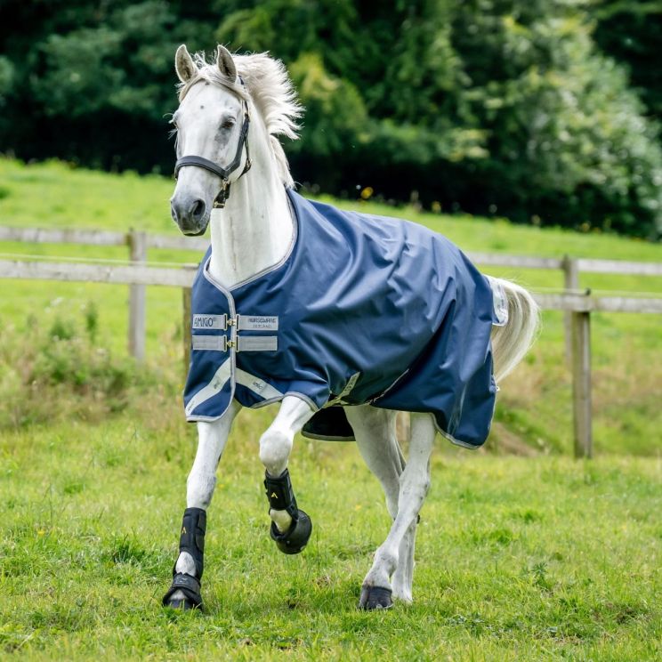 Amigo Bravo 12 Medium Navy