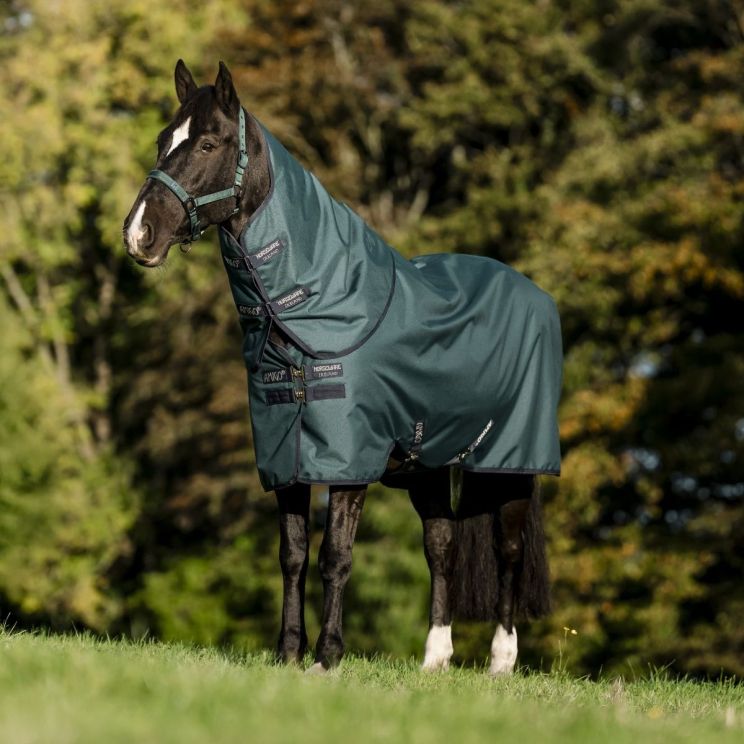 Amigo Hero 900 D Plus Ripstop 200 gr Dynasty Green