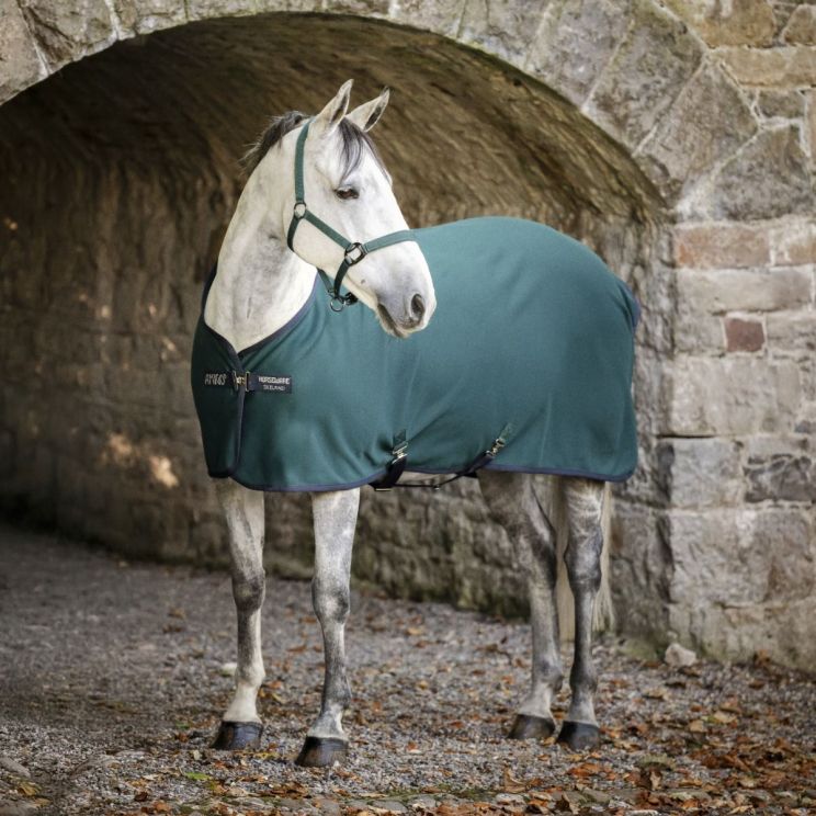 Amigo Jersey Cooler Dynasty Green