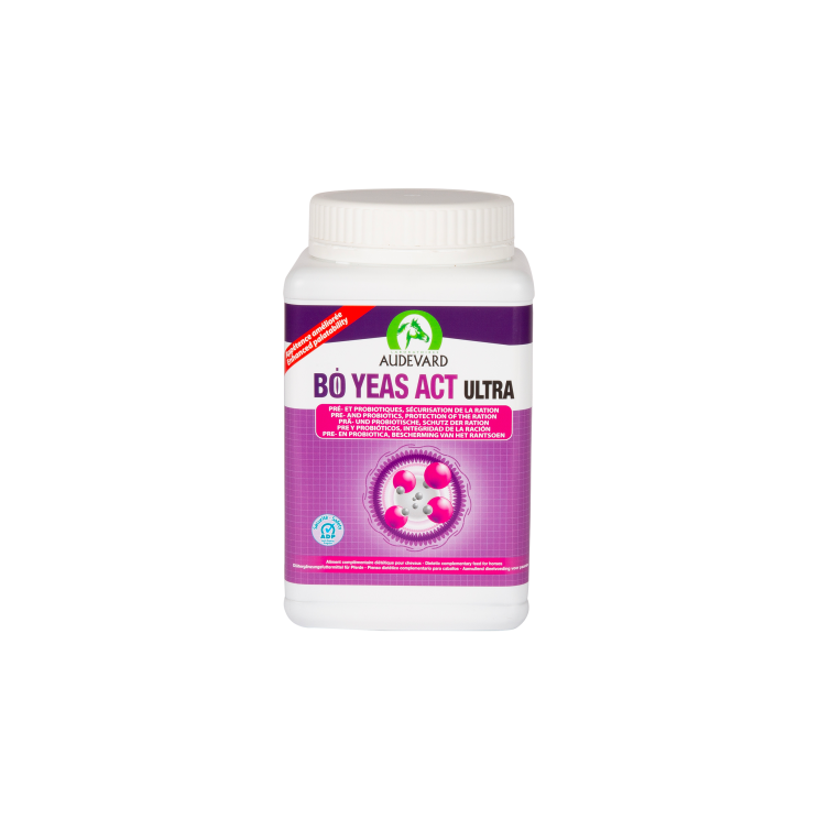 Audevard Bo Yeas Act Ultra