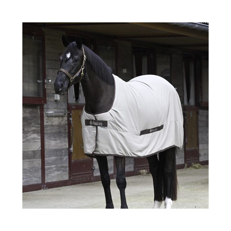 Bucas Cool Sheet Linen Beige Front