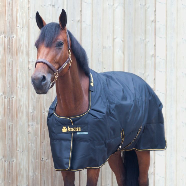 Bucas Irish Big Neck