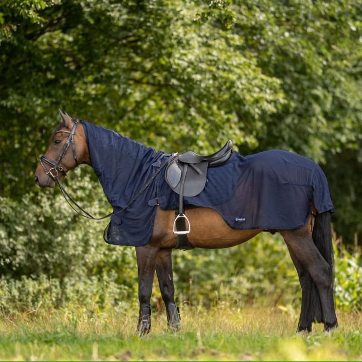 Busse Fly Sheet Exercise III