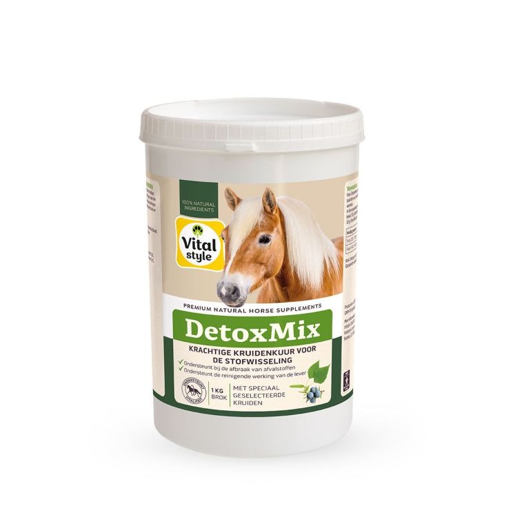 VITALstyle Detoxmix 