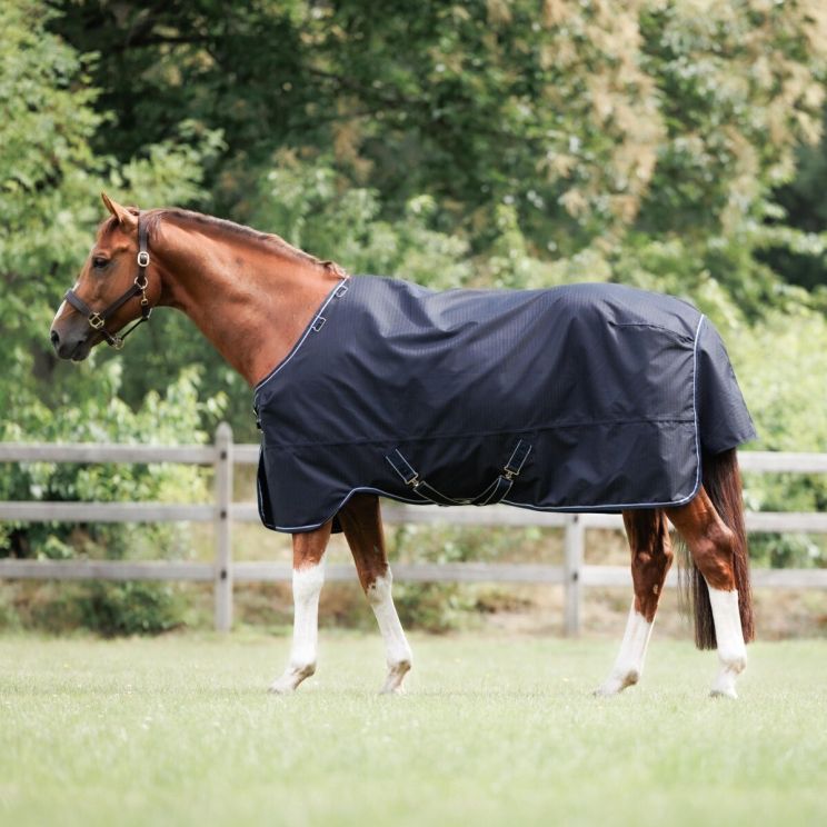 Dominick Outdoor Rug 2023 350GR