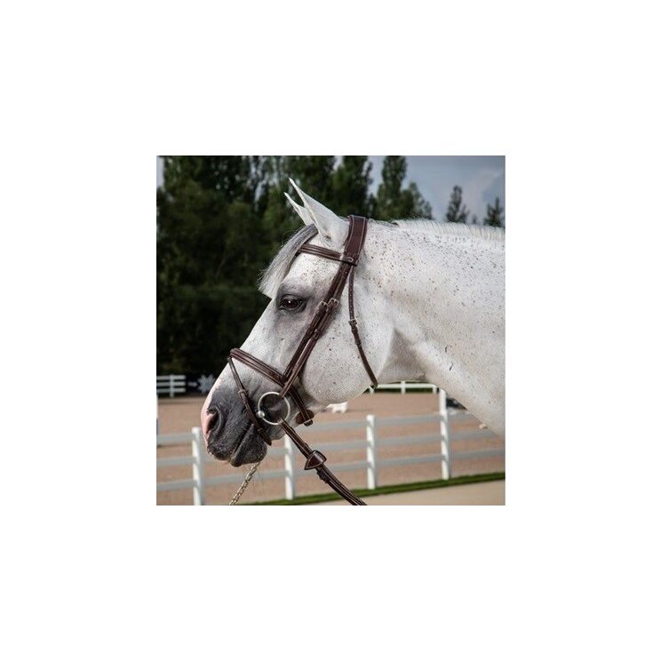 Dy'on Hunter hoofdstel