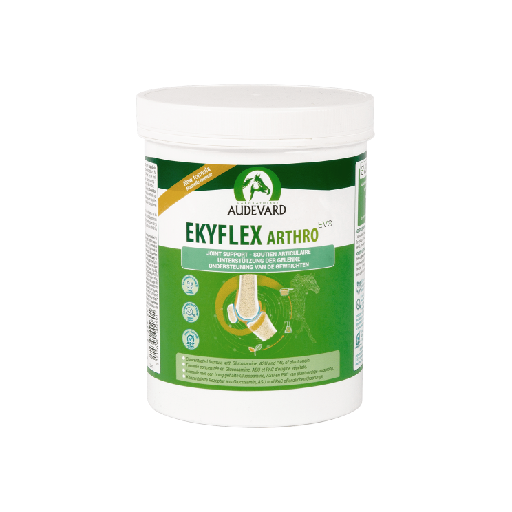 Audevard Ekyflex Arthro EVO