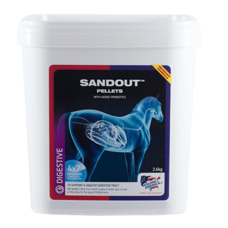Equine America Sand Out
