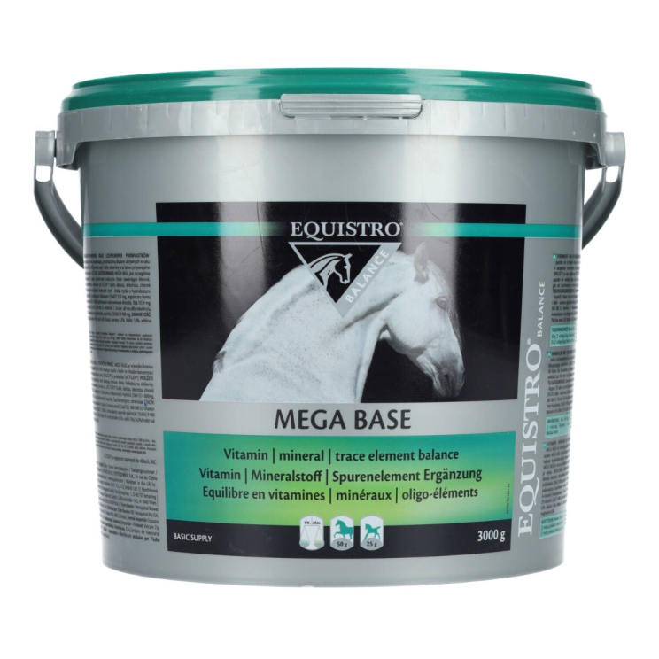 Equistro Mega Base