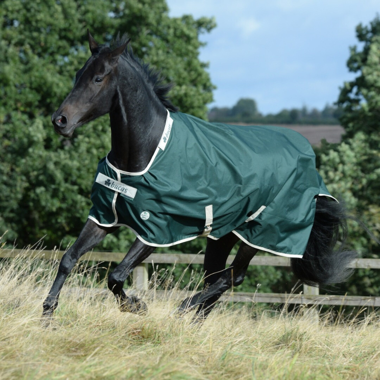 Bucas Turnout Rug Green Line 100 gr