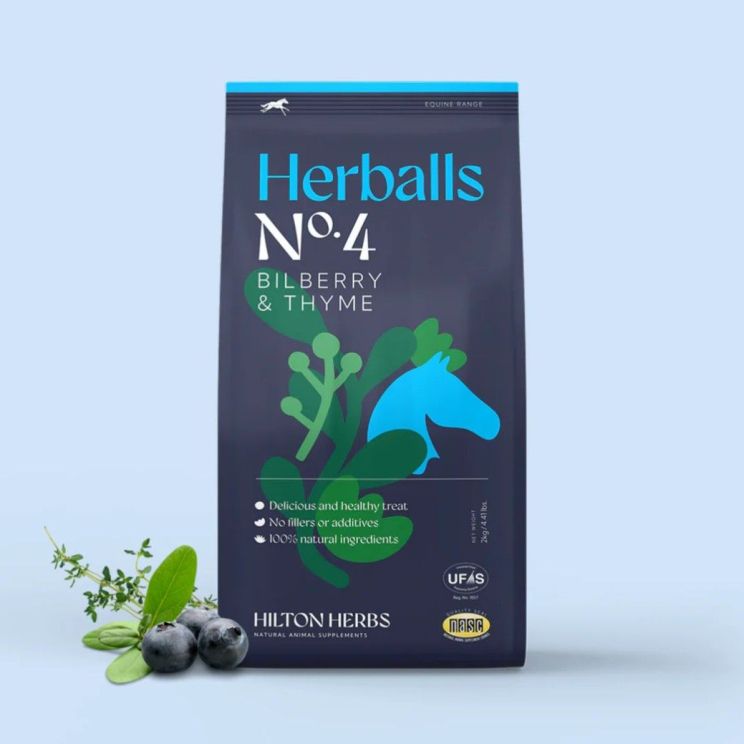 Hilton Herbs Herballs Blueberry & Thyme