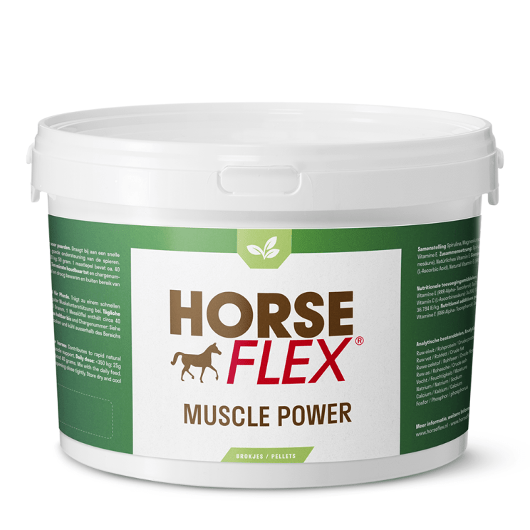 HorseFlex Muscle Power