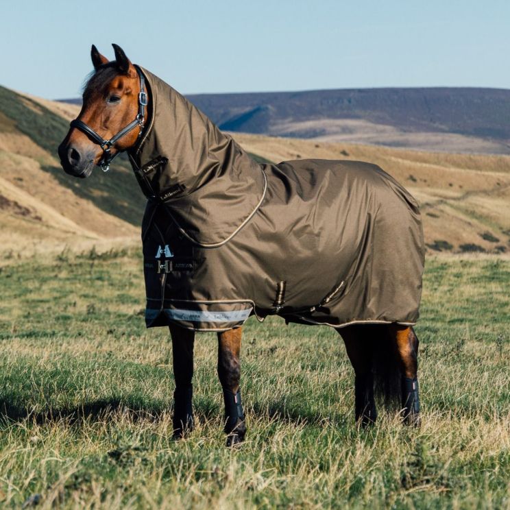 Lemieux Arika Turnout Rug 600D 0G Alpine