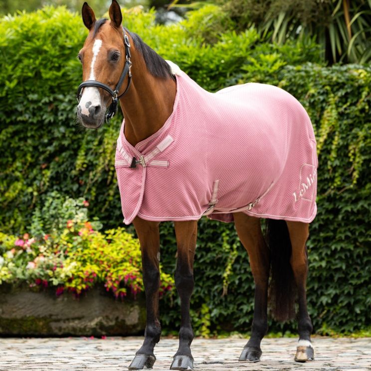 LeMieux Cooler Rug Kudos Bamboo Peony