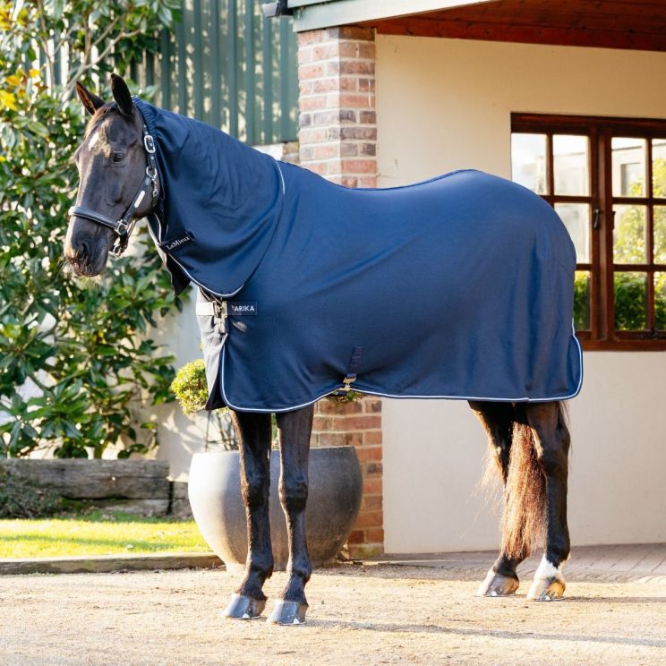 Lemieux Arika Rug DryEase Navy