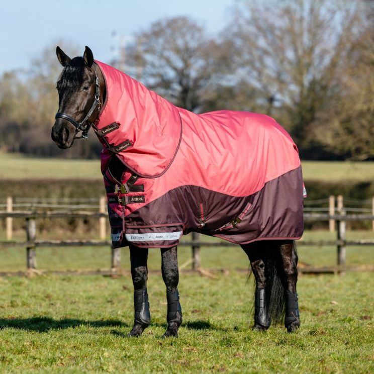Lemieux Arika 600D Winter Rug 200G Cranberry